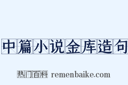 中篇小说金库造句是什么意思的图片